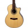 Guitar Acoustic Station HD-119