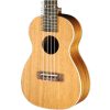 Đàn Ukulele STATION - BR - 950