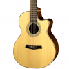 Guitar Acoustic Station HD-179