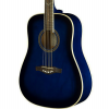Guitar Acoustic EKO-D-Blue