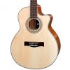 Guitar Acoustic Station HD-199A