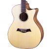 Guitar Acoustic Station DC-45