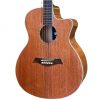 Guitar Acoustic Station HD-219_FA