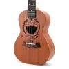 Đàn Ukulele MUSIC Doraemon